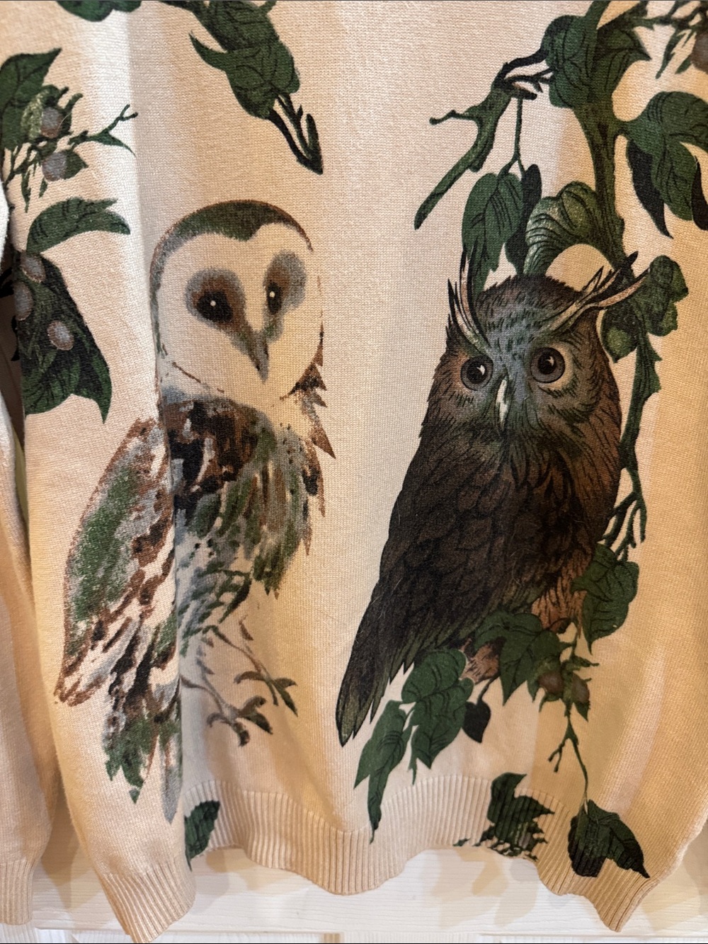 Cream Crewneck Sweater with Green Owl Print